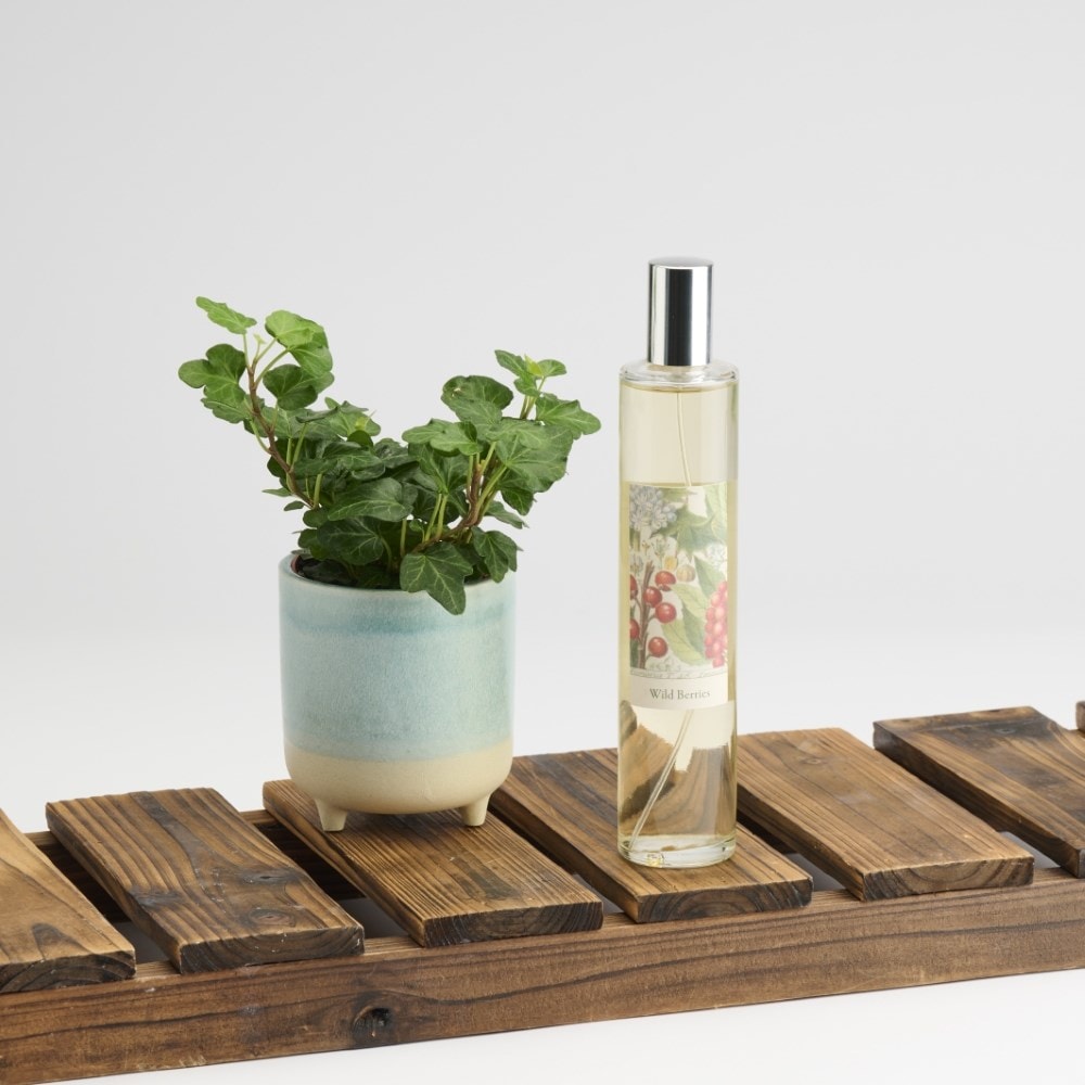 RHS Classic room spray - wild berries