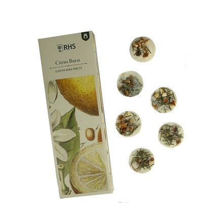 RHS wax melt Mother's day gift set - citrus burst