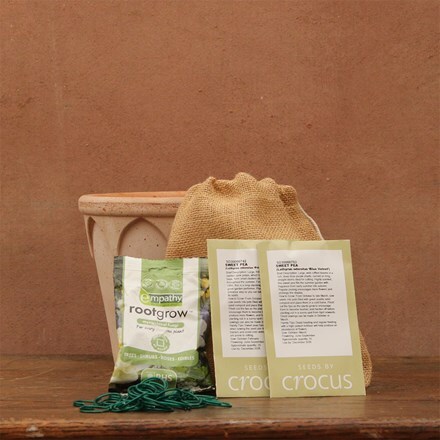 The sweet pea kit