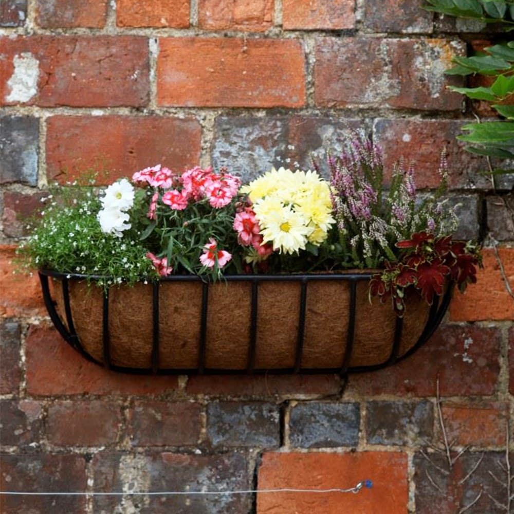 Product options image