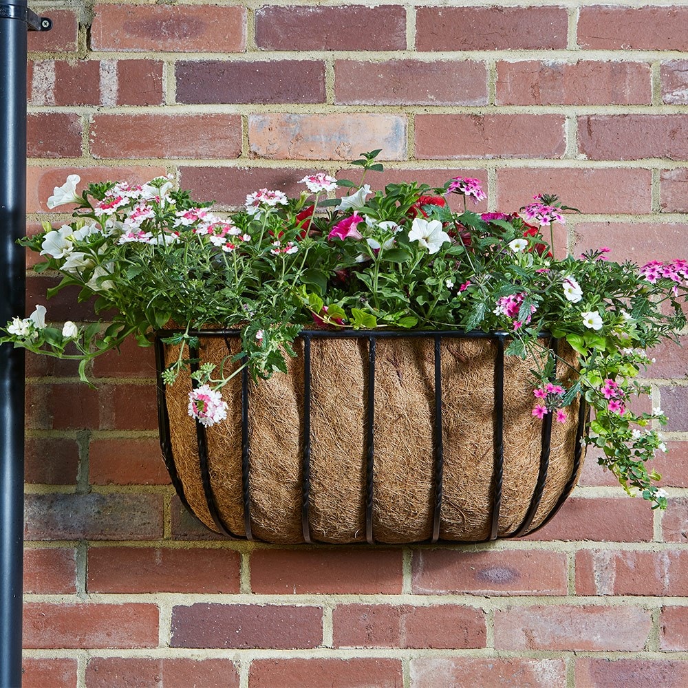 Product options image