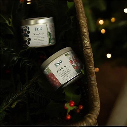 RHS tin candle - wild berries