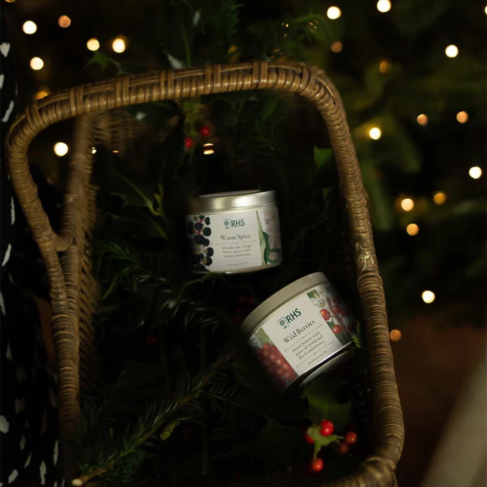 RHS tin candle - warm spice