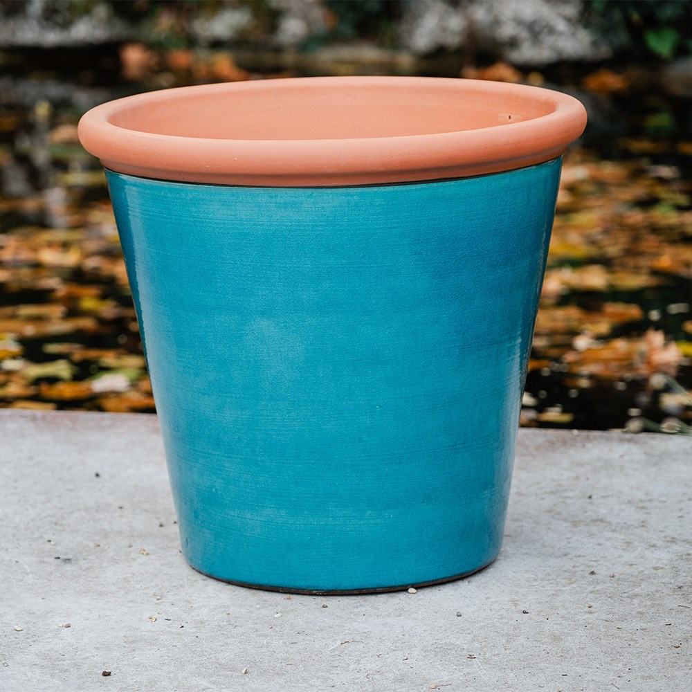 Metal tree guard - rust