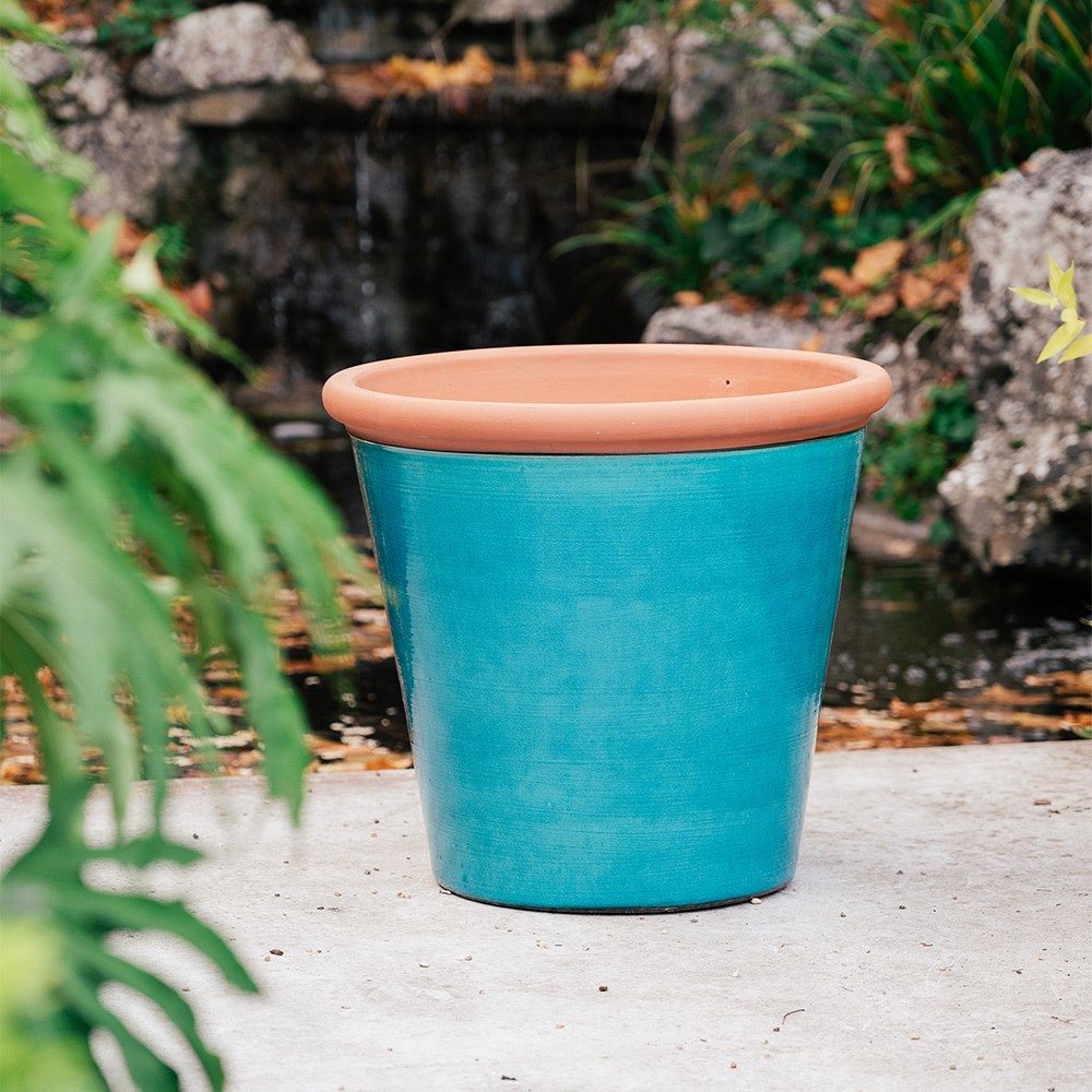 Metal tree guard - rust