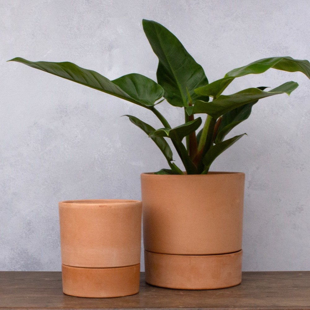 Italian straight edge terracotta plant pot