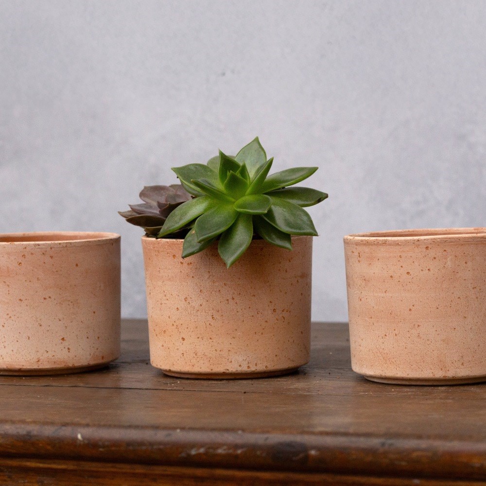 Mini textured terracotta pot