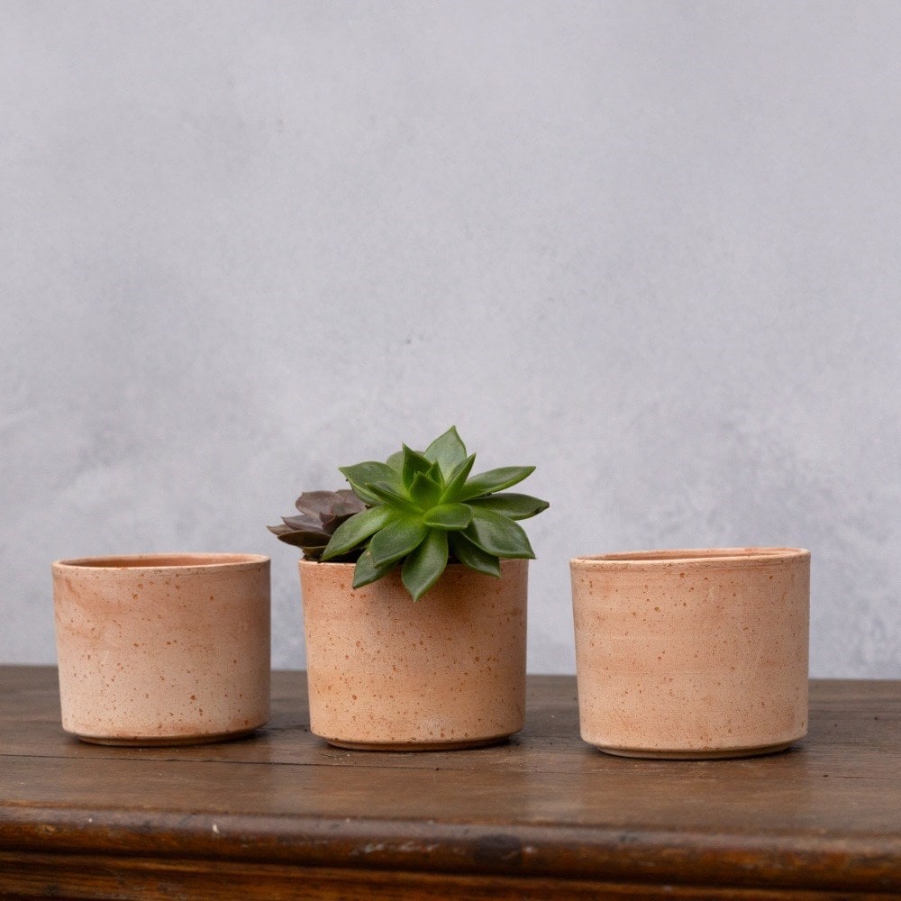 Mini textured terracotta pot