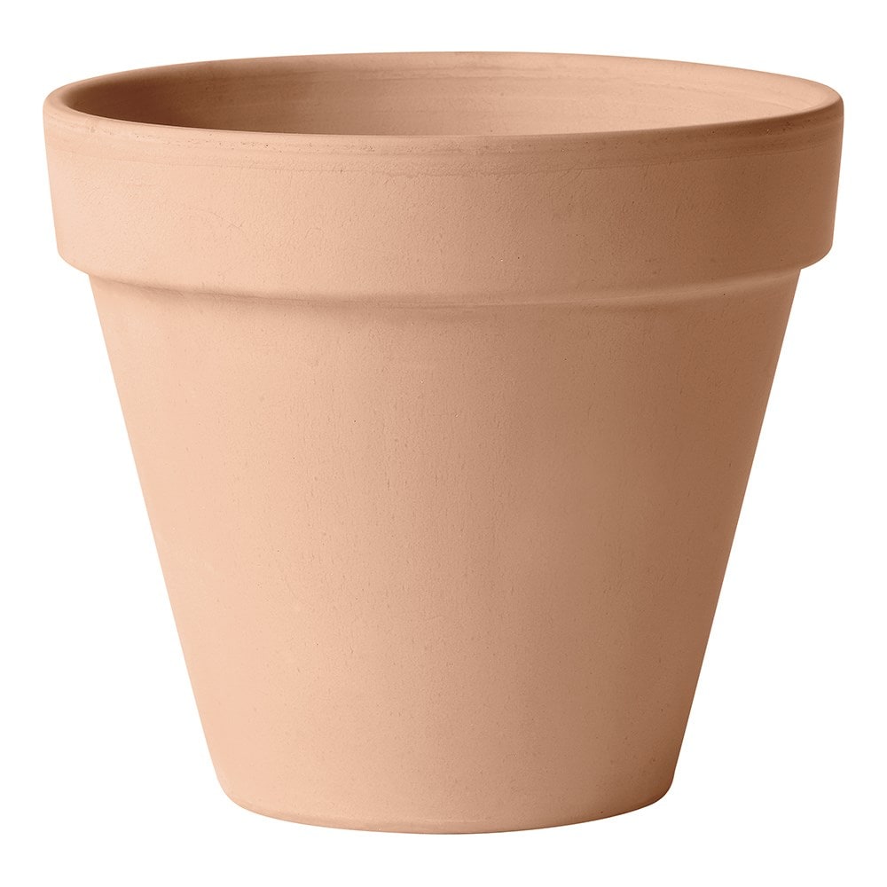 Classic Italian whitewash terracotta pot