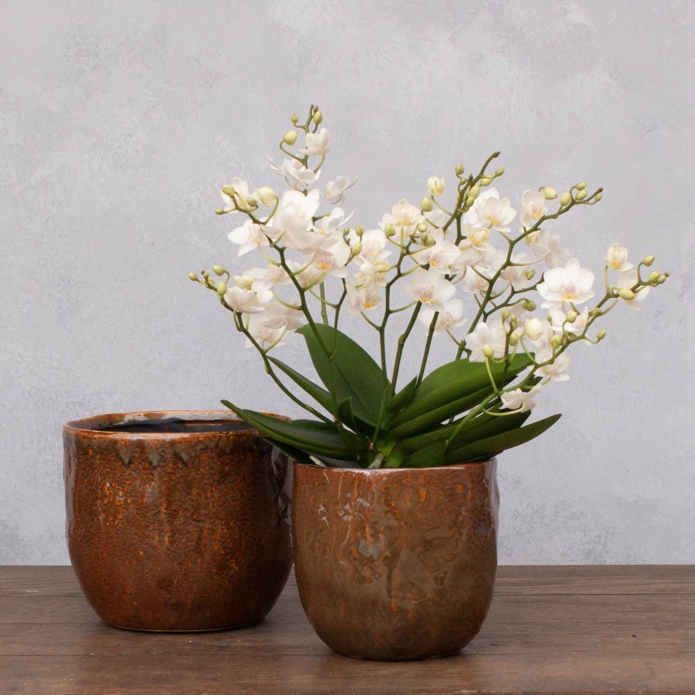 Rustic glazed pot - red