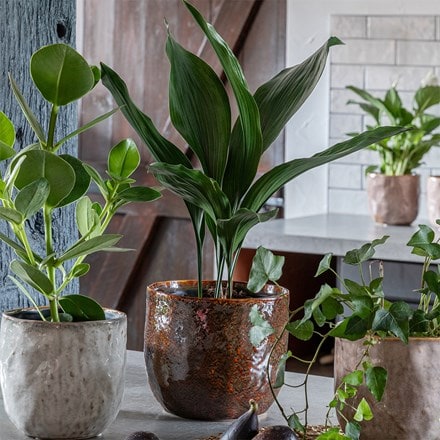 Rustic glazed pot - red