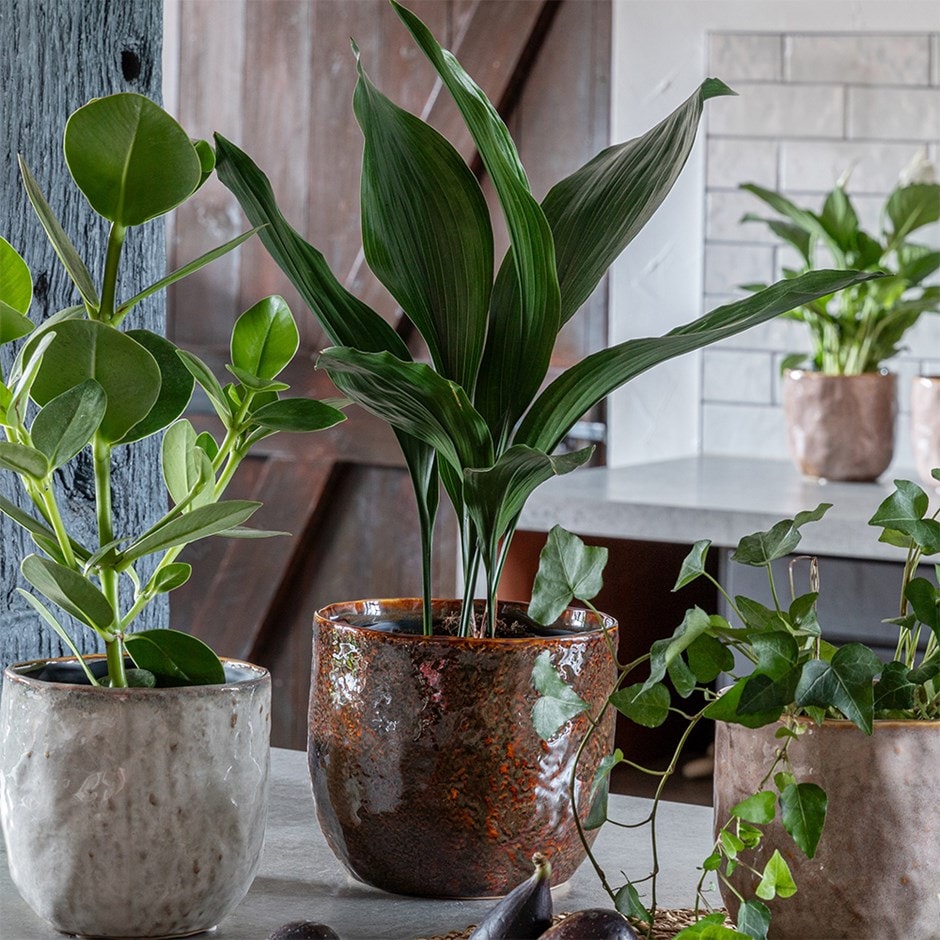 Rustic glazed pot - red