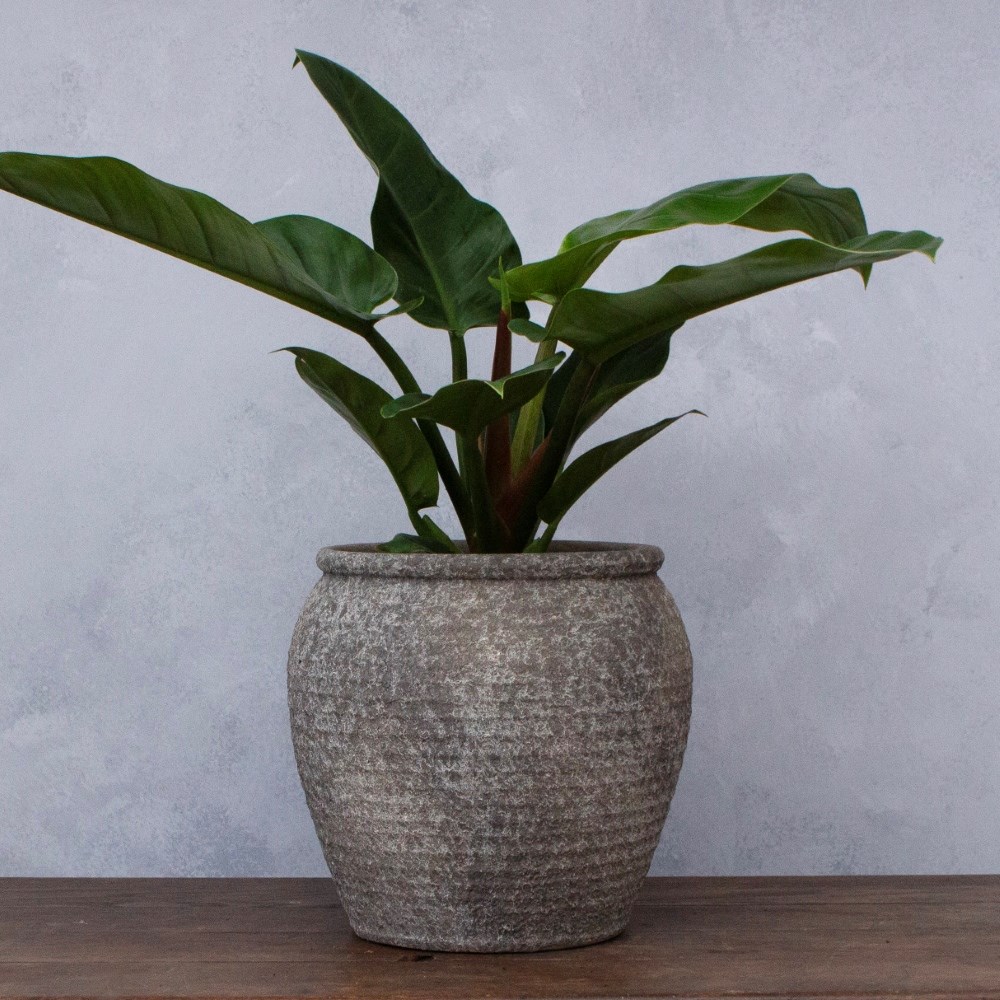 Ripple cement large plant pot - grey