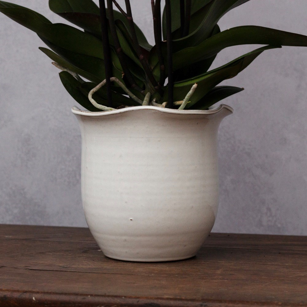 Scalloped edge plant pot - white
