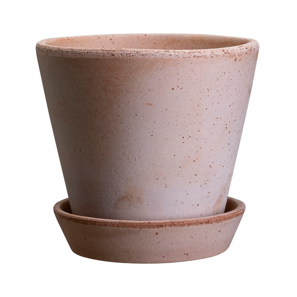 Simple terracotta plant pot with saucer 