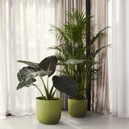 Ribbed lightweight plastic plant pot - fern green