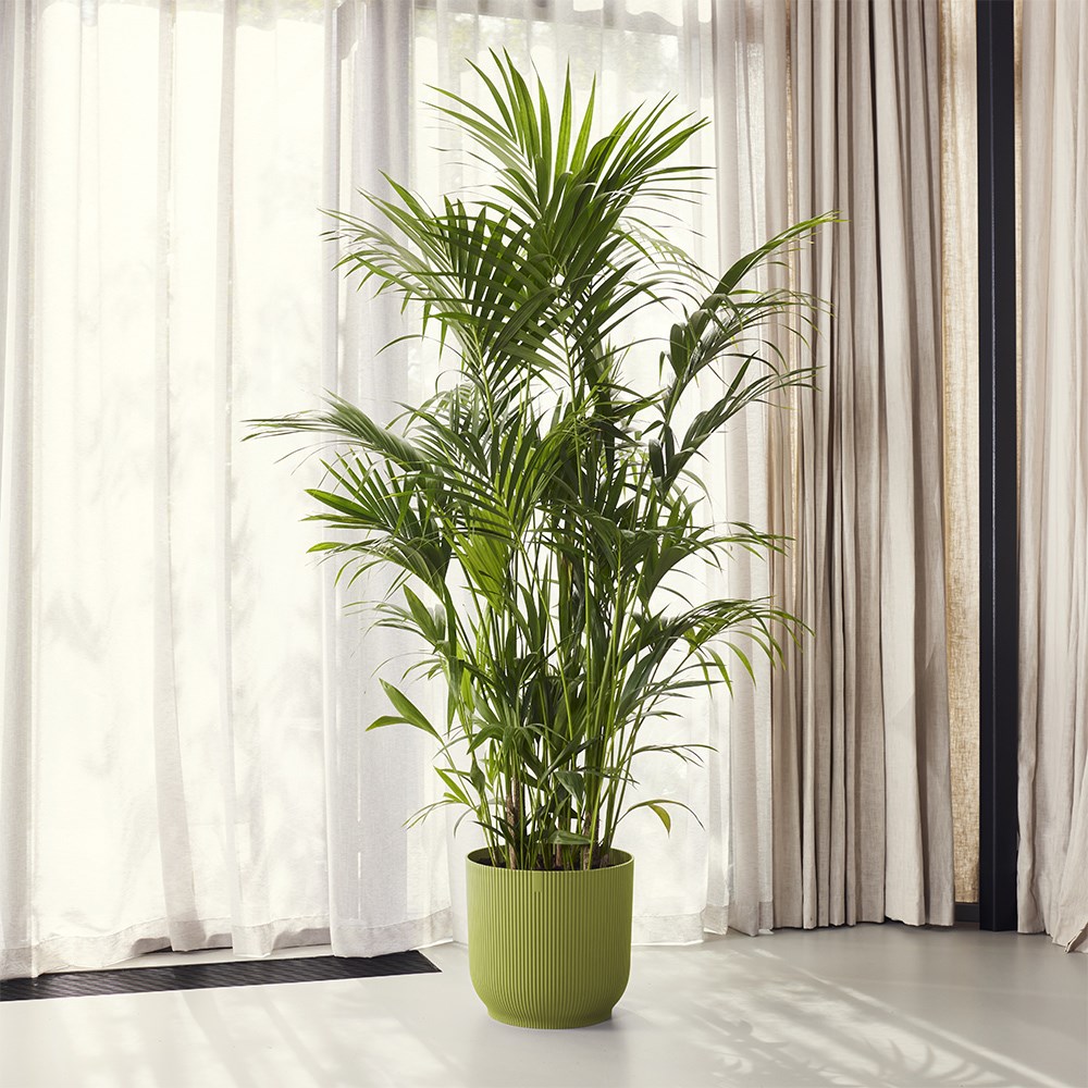 Ribbed lightweight plastic plant pot - fern green