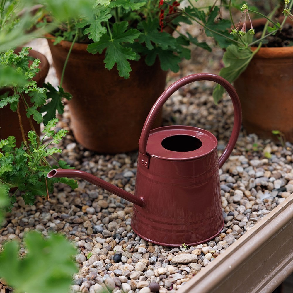 Indoor metal watering can - burgundy