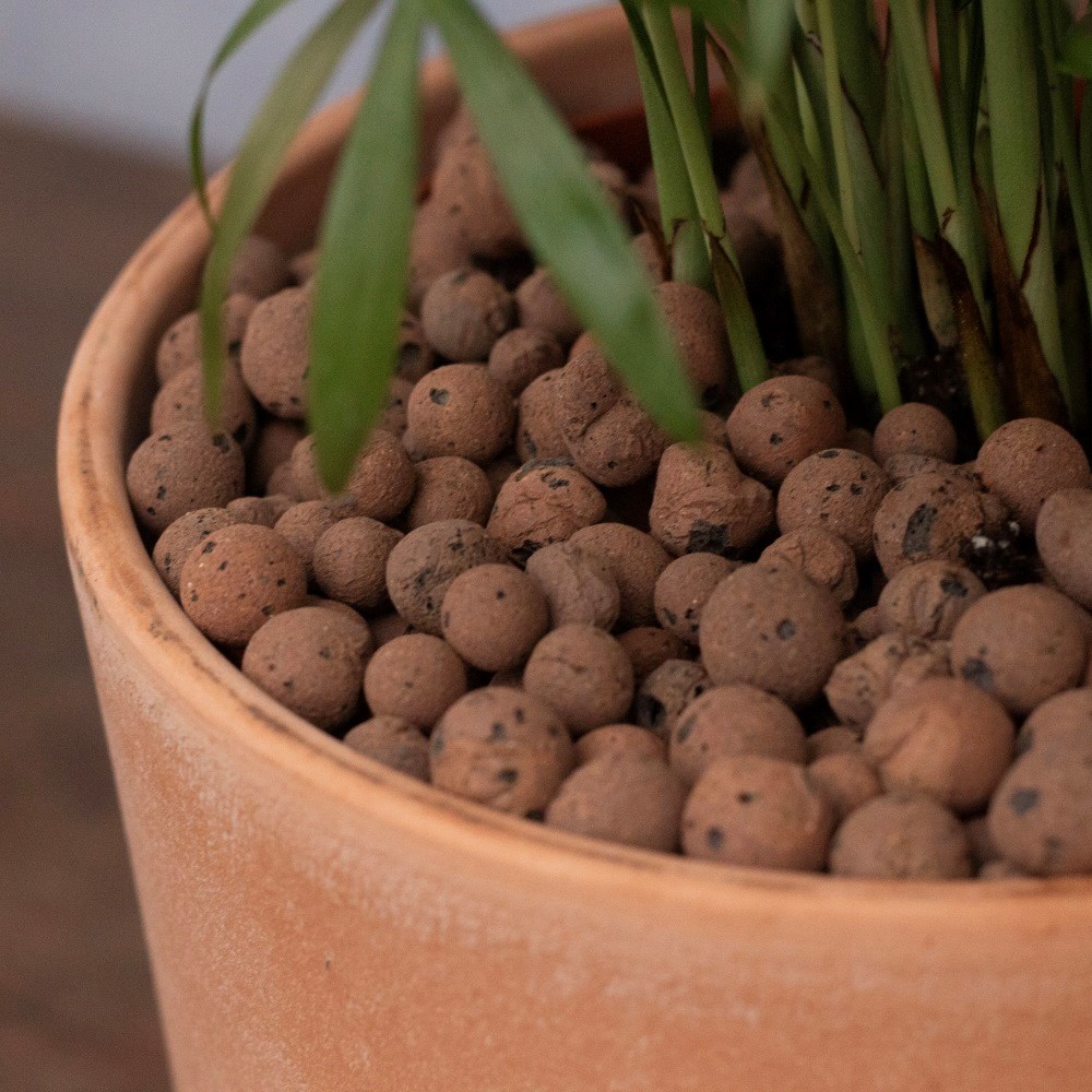 Product options image