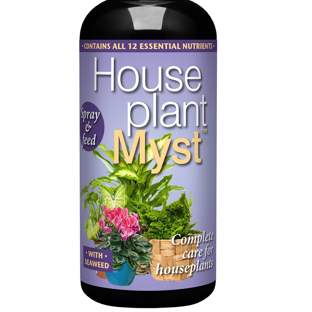 Houseplant spray and feed