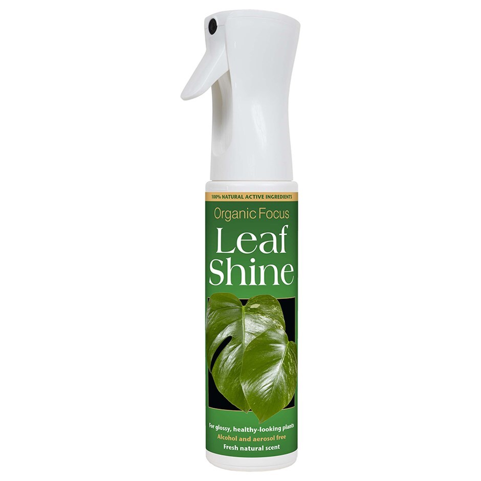 Organic leaf shine