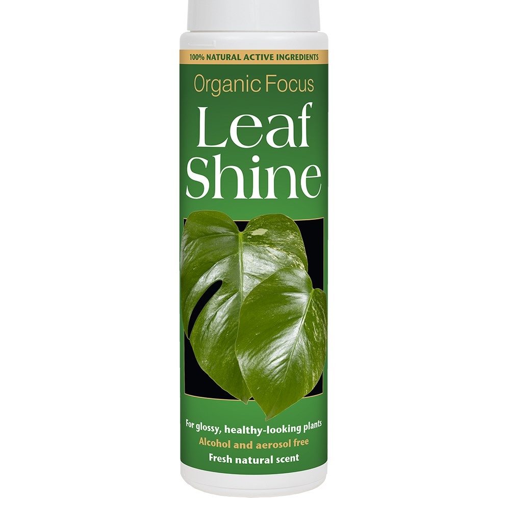 Organic leaf shine