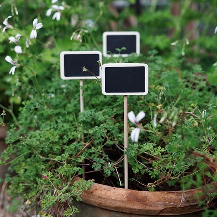 Large blackboard & wood plant label - set of 6