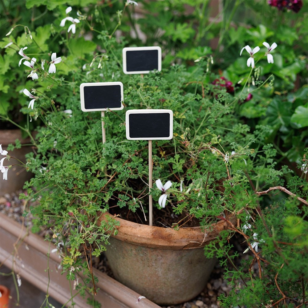 Large blackboard & wood plant label - set of 6