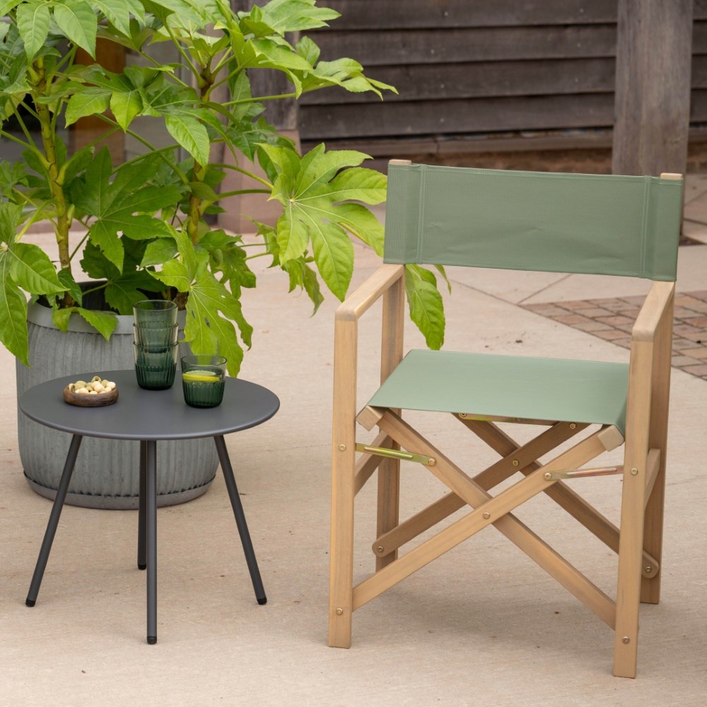 Green director's chair