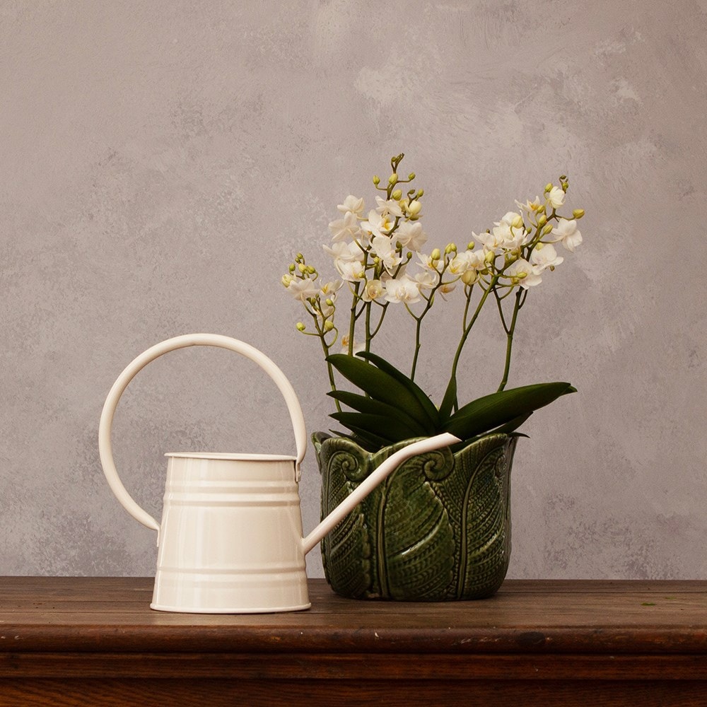 Indoor metal watering can - white