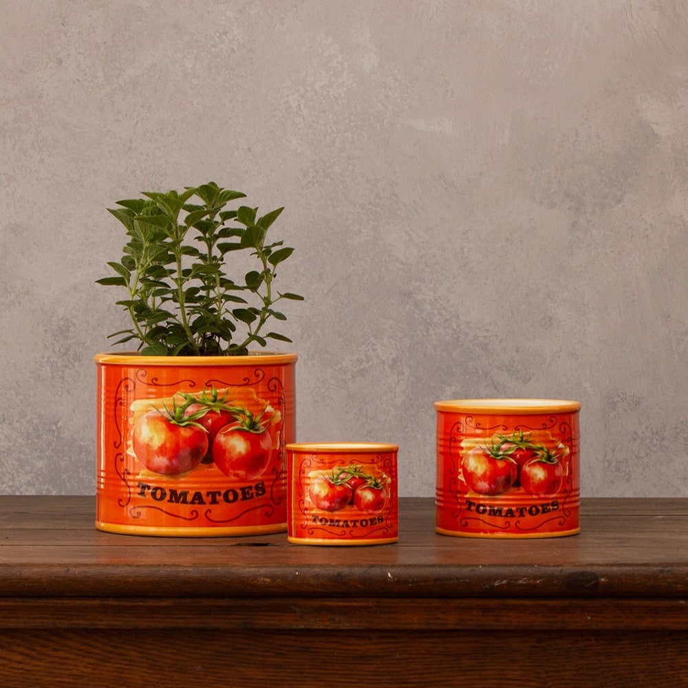 Tomato print plant pot - set of 3