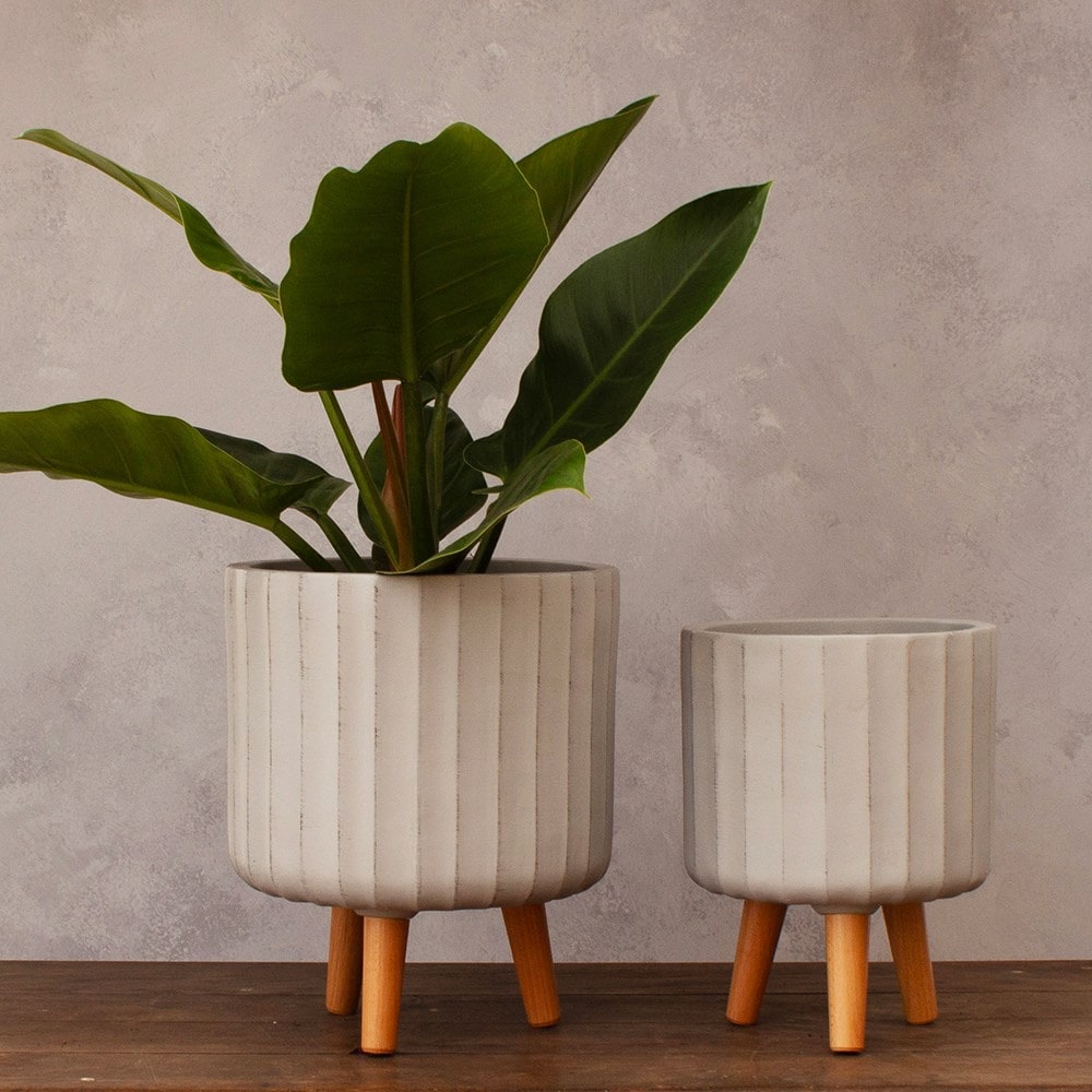 Product options image