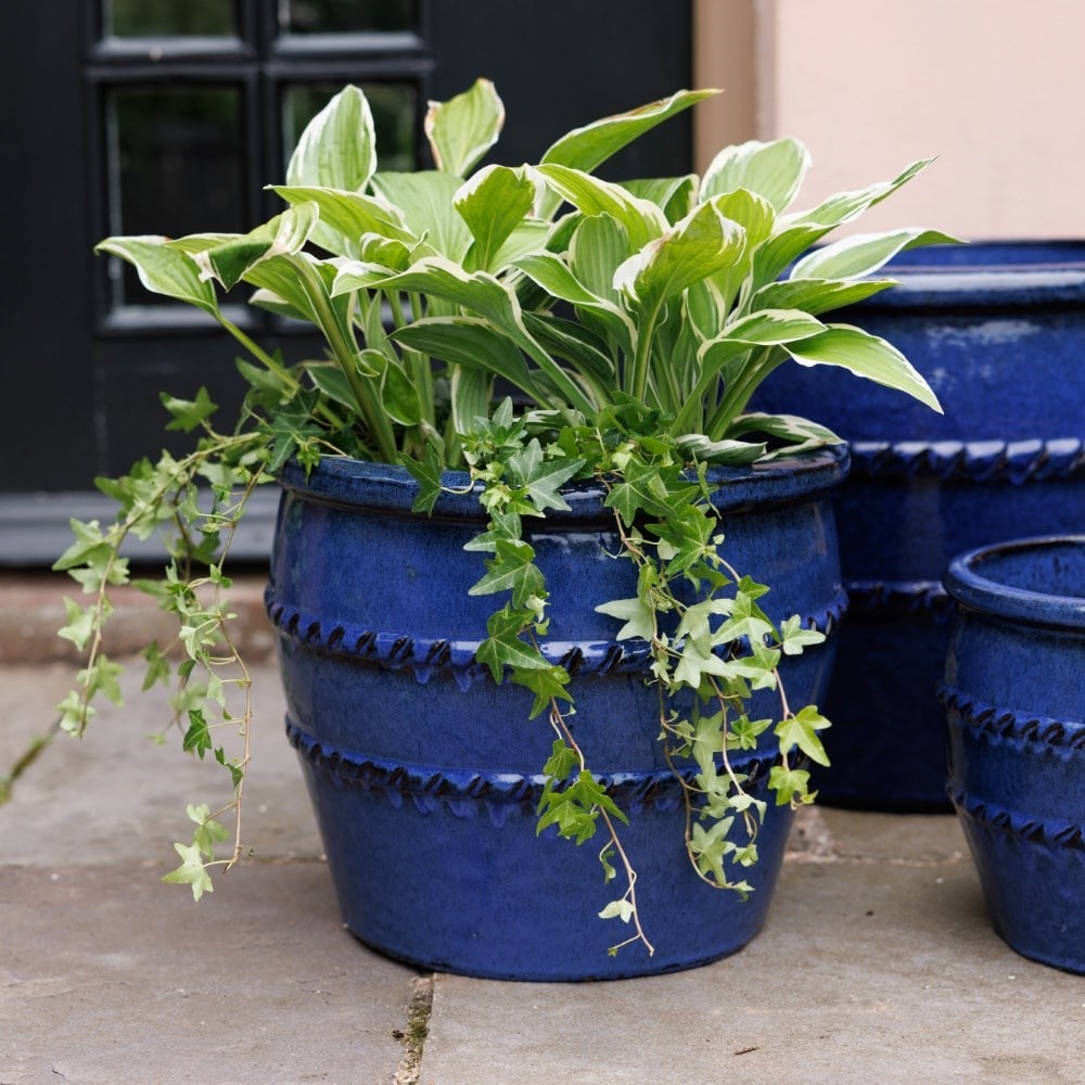 Glazed terracotta planter with rope detail - deep blue