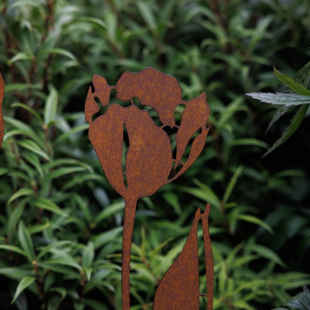 Set of 2 rusted tulip stakes