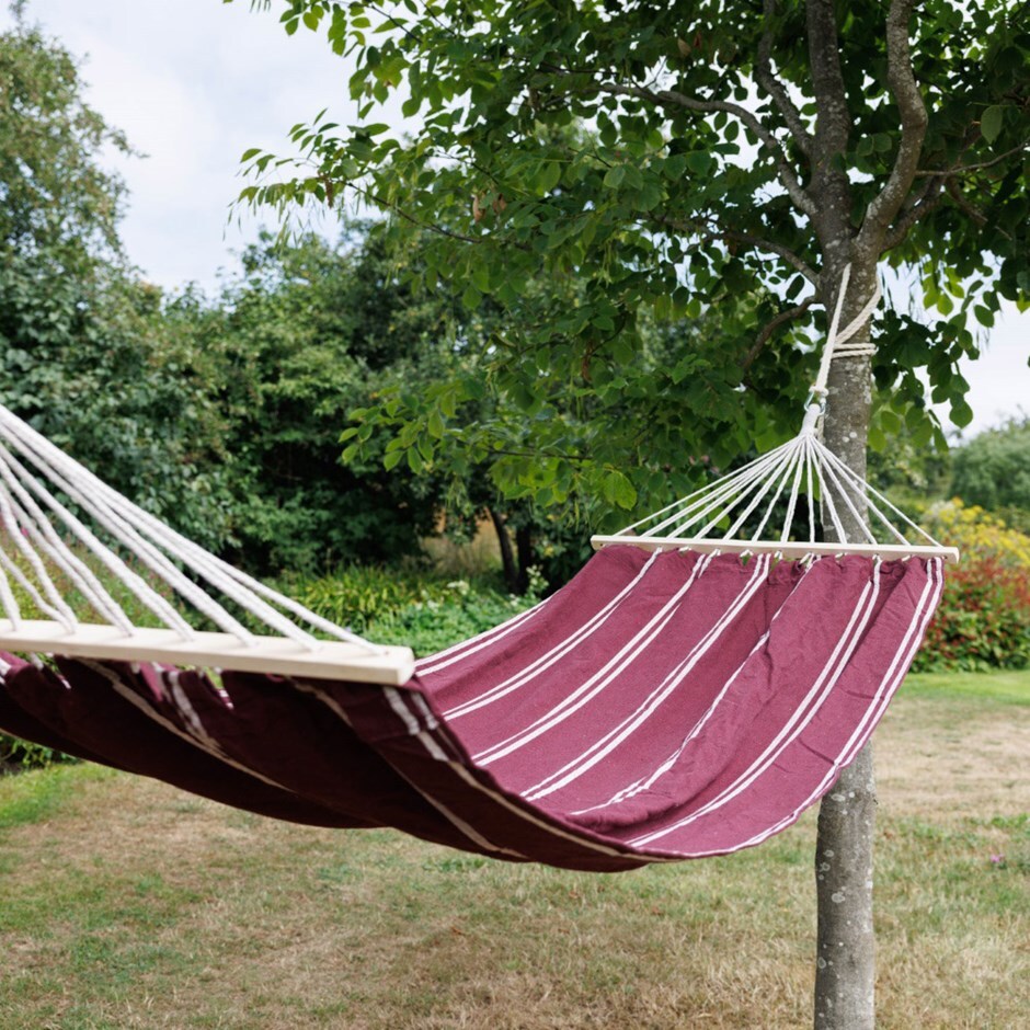 Hammock - claret with cream stripe