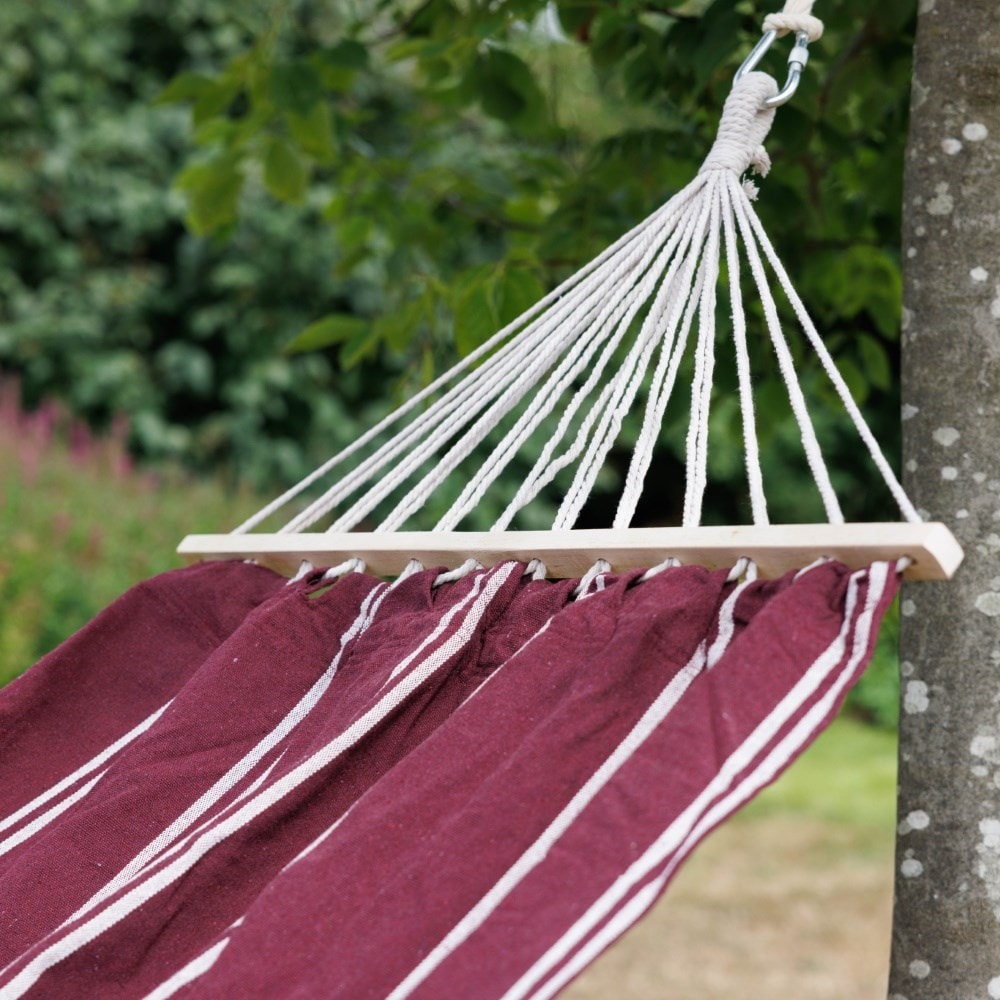 Hammock - claret with cream stripe