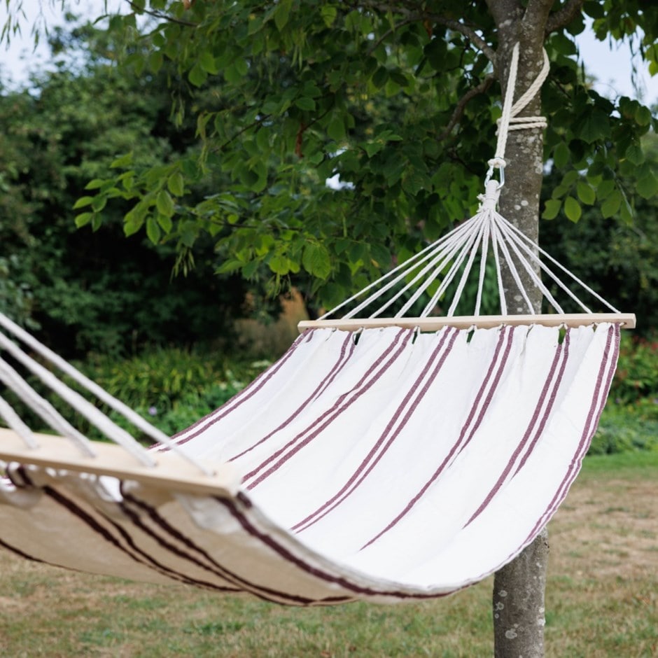 Hammock - cream with claret stripe