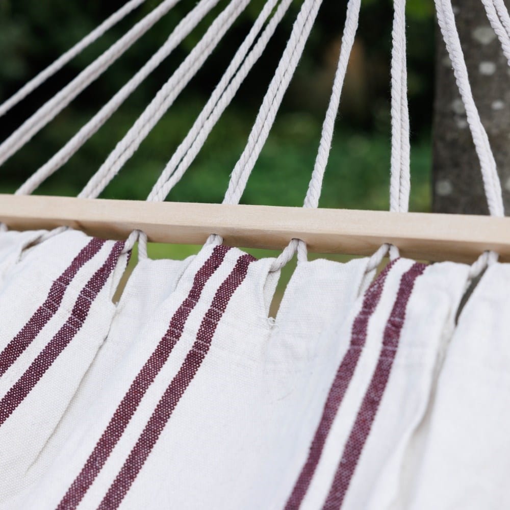 Hammock - cream with claret stripe