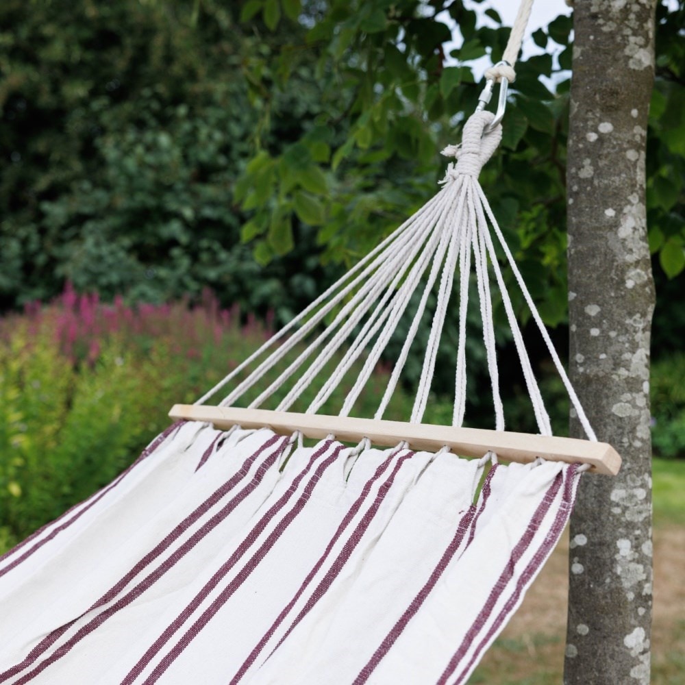 Hammock - cream with claret stripe