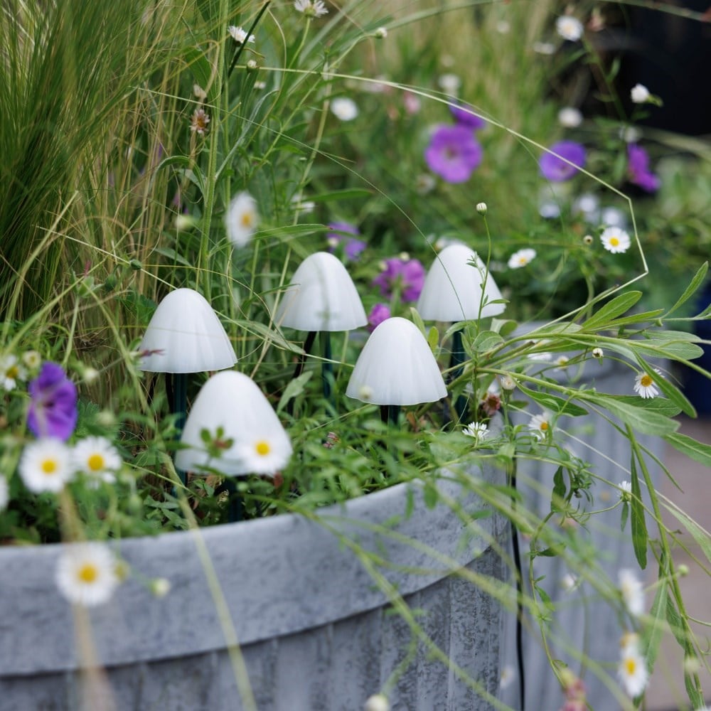 Solar mini mushroom stake lights