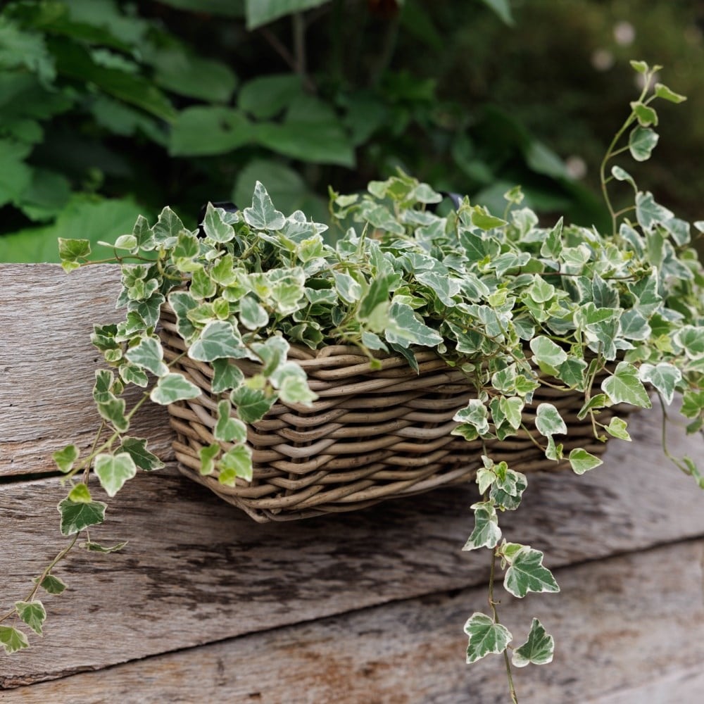 Rattan balcony basket planter