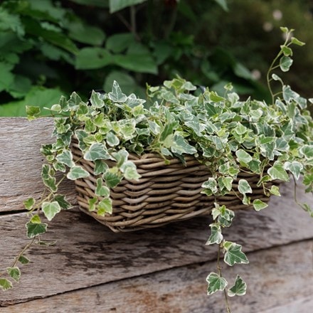 Rattan balcony basket planter