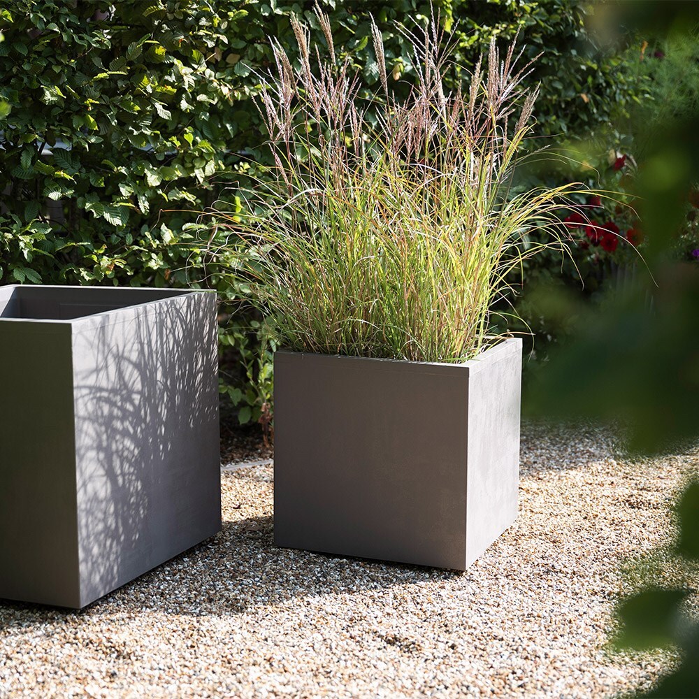 Millennium cube sandstone