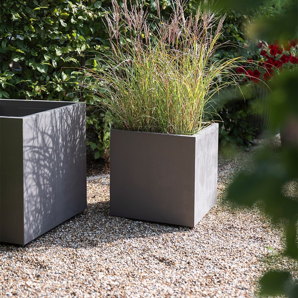 Millennium cube sandstone