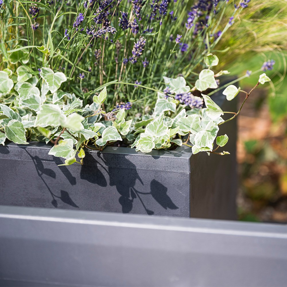 Millennium trough anthracite