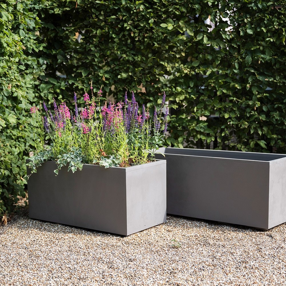 Millennium trough sandstone