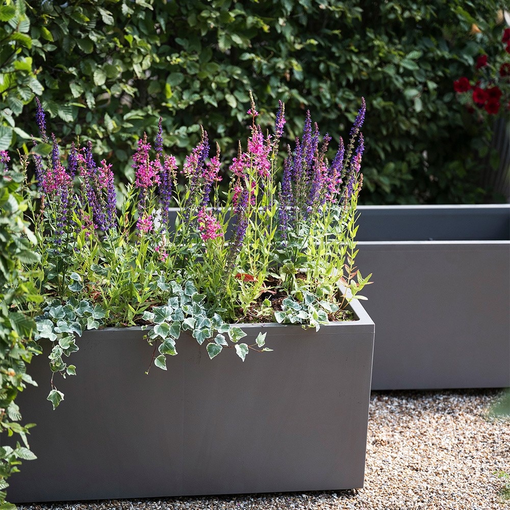 Millennium trough sandstone