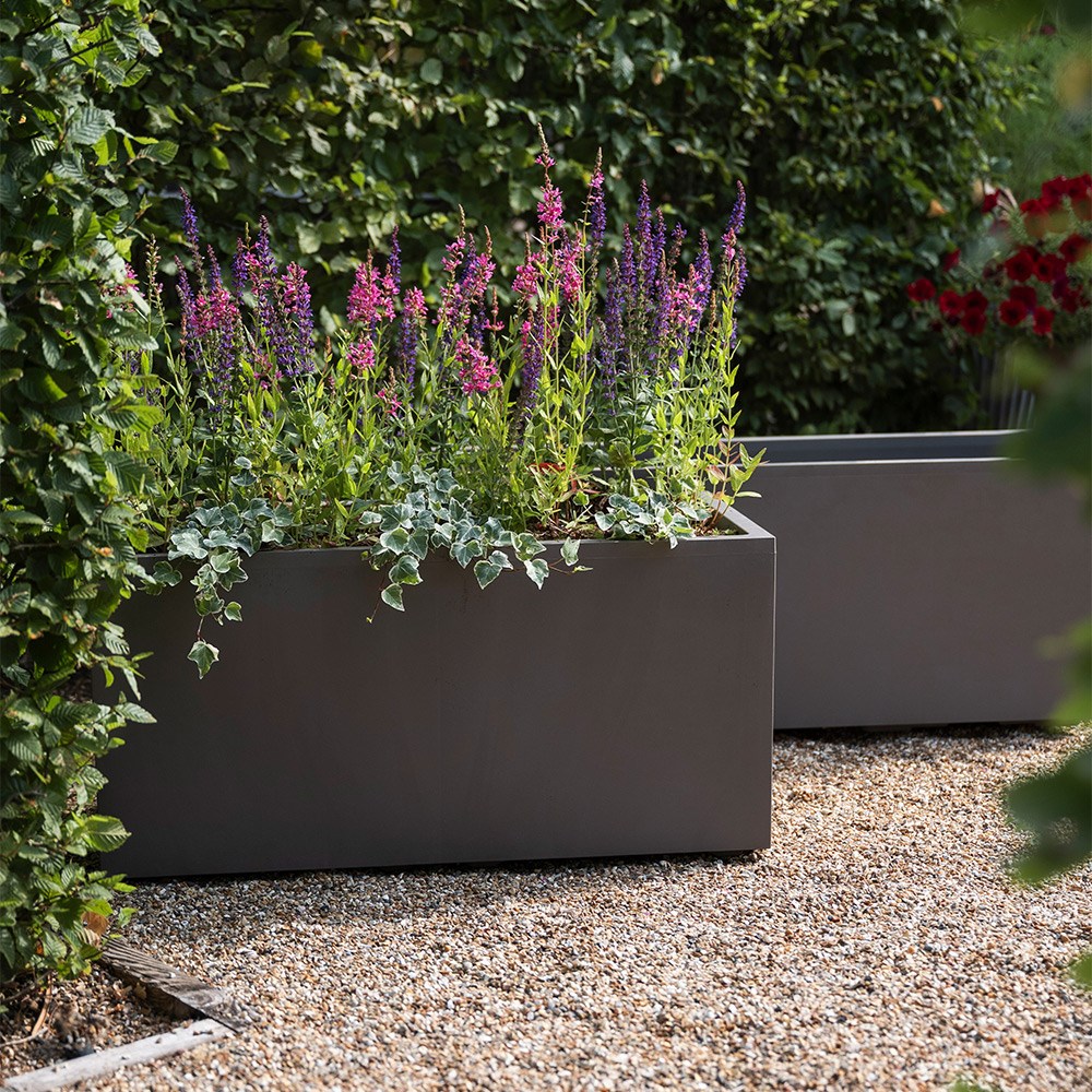 Millennium trough sandstone