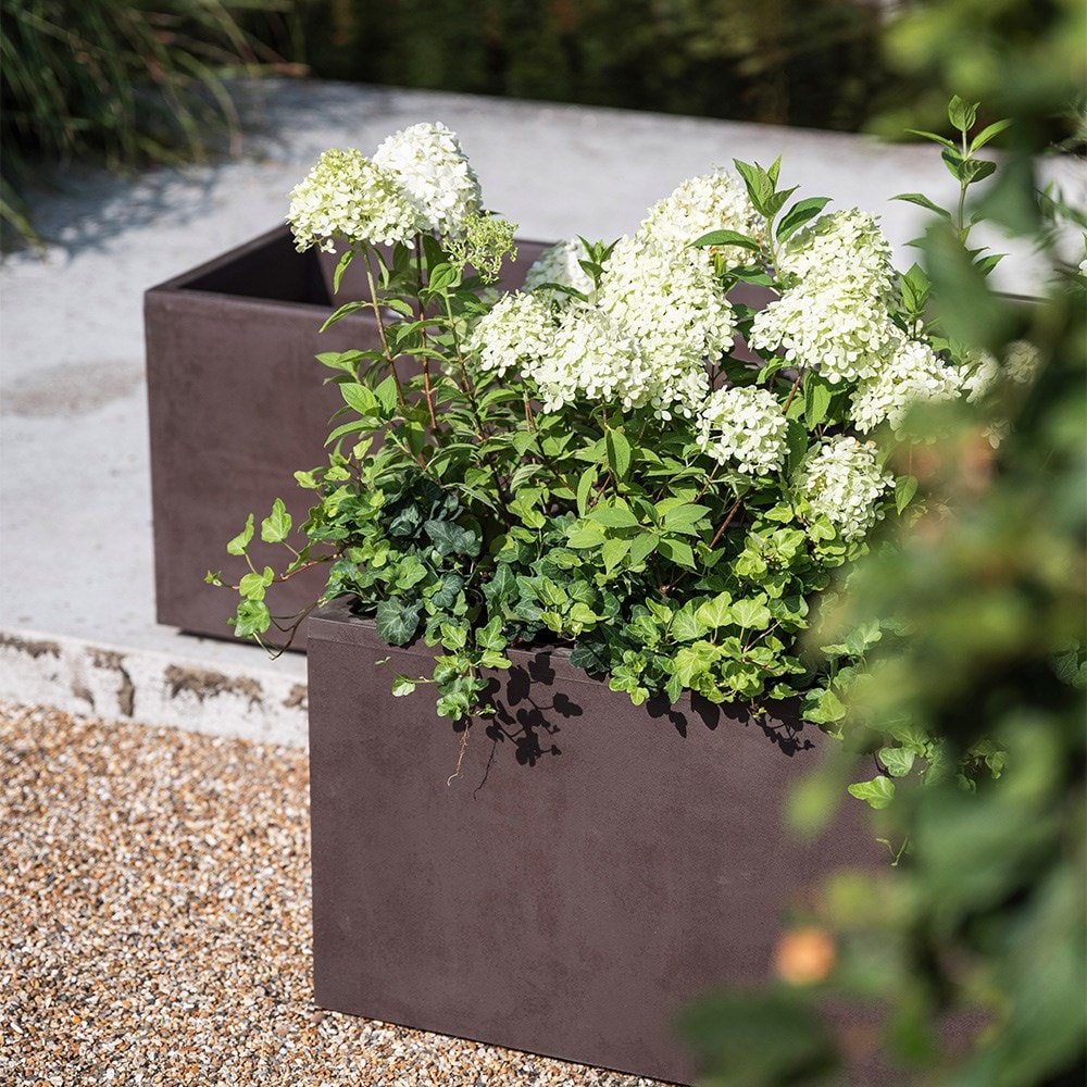 Millennium trough brownstone