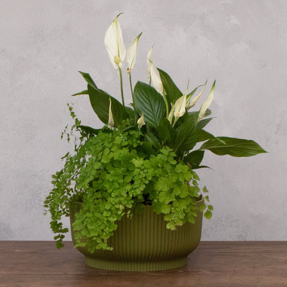 Ribbed lightweight plastic plant bowl - fern green